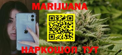 сатива Будённовск