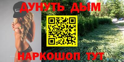сатива Будённовск