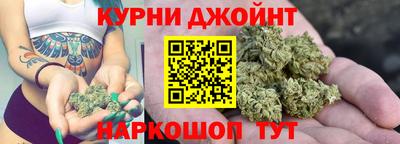 сатива Будённовск