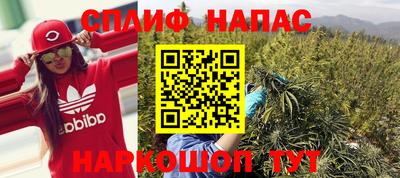 сатива Будённовск